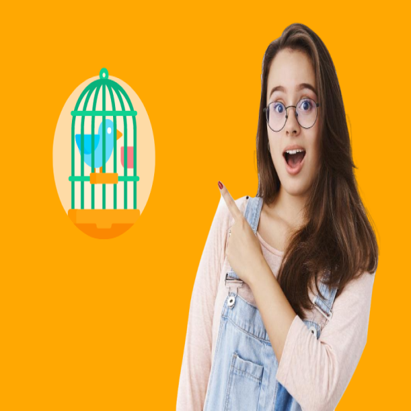 How to Soundproof a Bird Cage